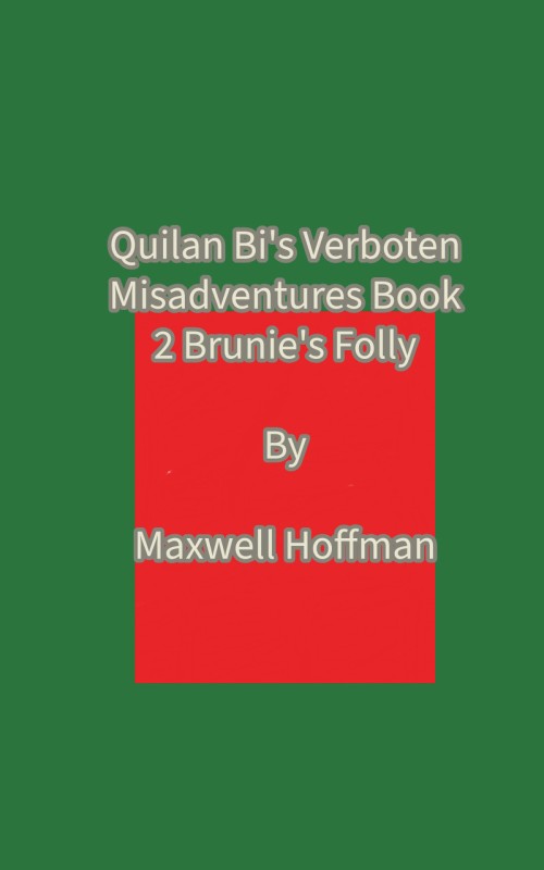 Quilan Bi's Verboten Misadventures Book 2: Brunie's Folly